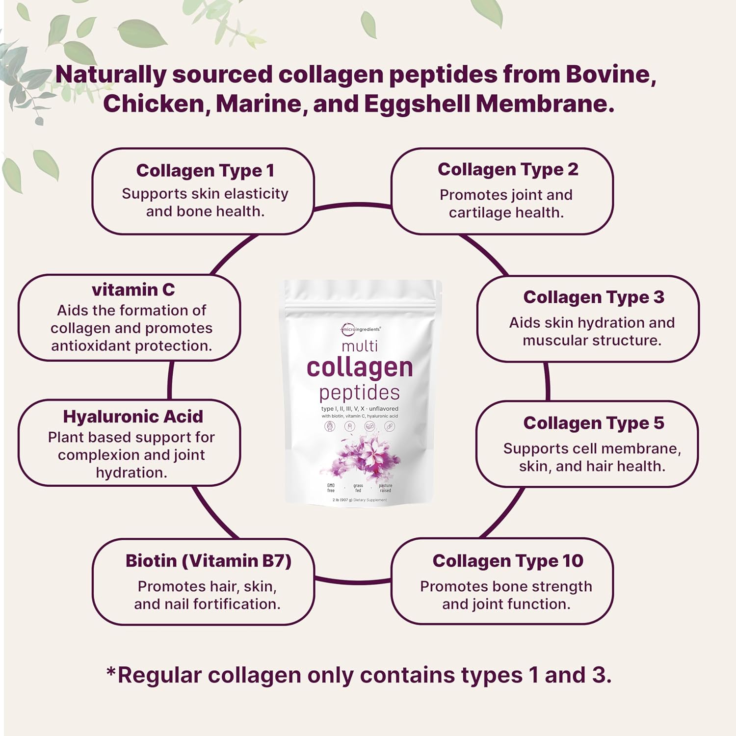 Multi Collagen Protein Powder